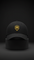 Matte black cotton cap with gold embroidery